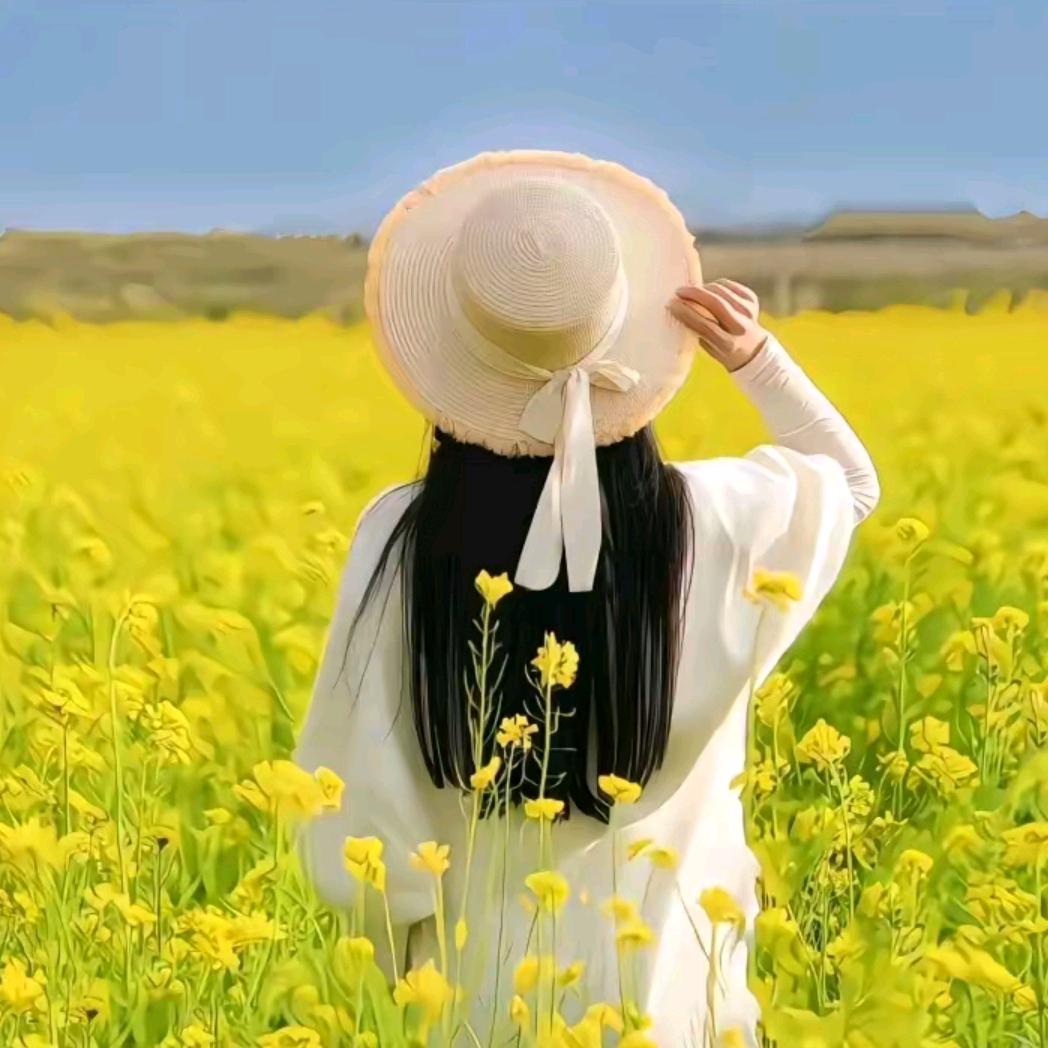 橙双美美