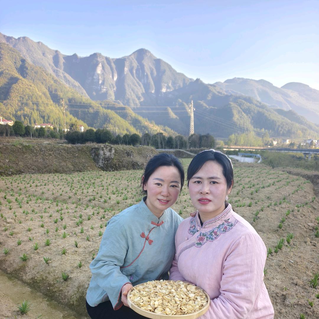 湘小娟龙山百合三农甄选店