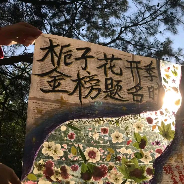 文思泉涌-班主任教育论