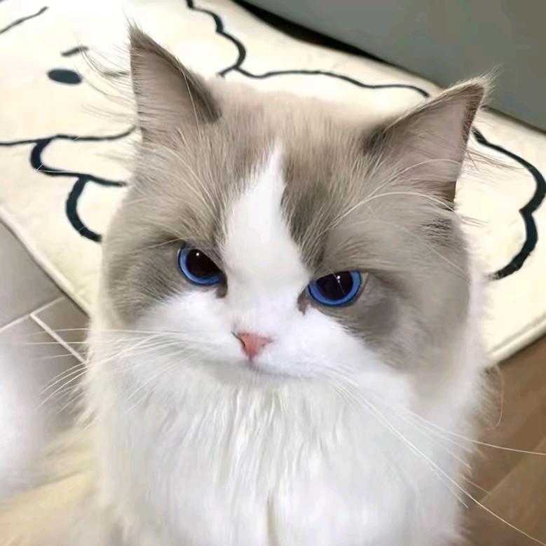 旺旺炸鸡