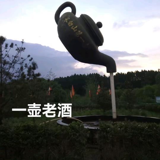 一壶老酒