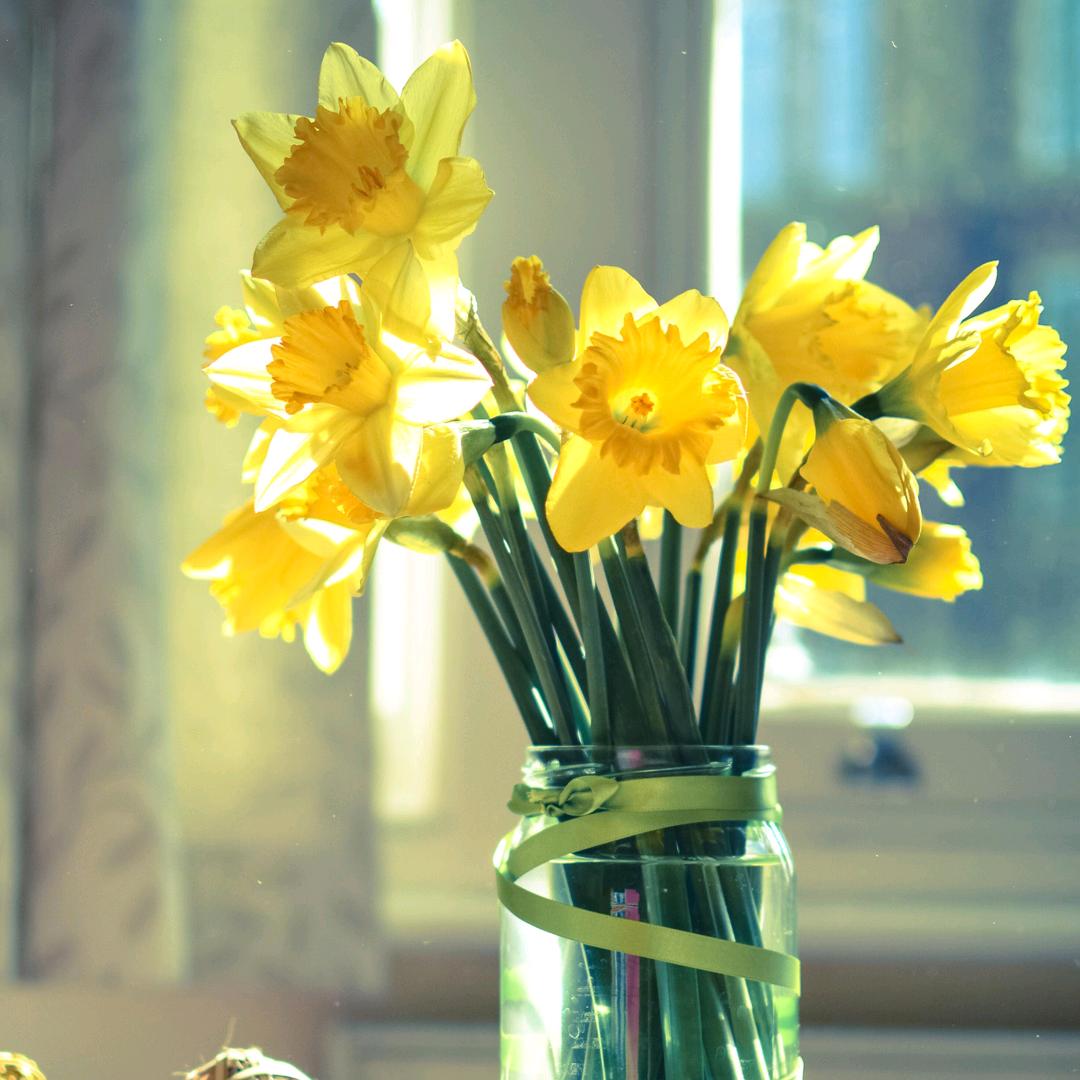 英子（单身。）