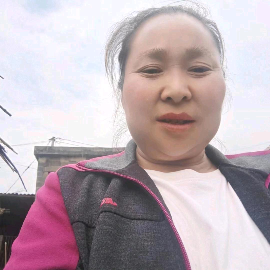小肖9528260
