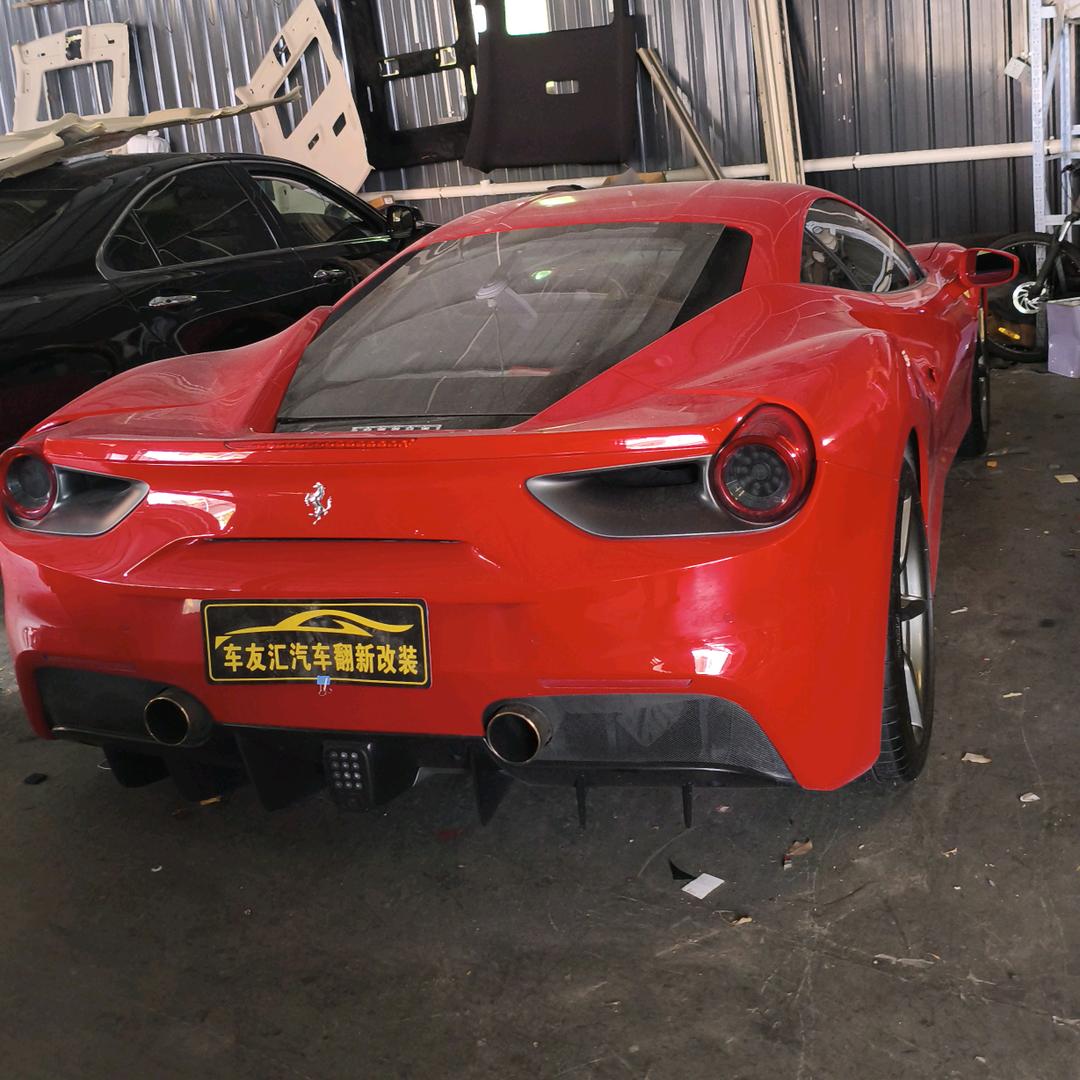 漂洋过海，海鸥