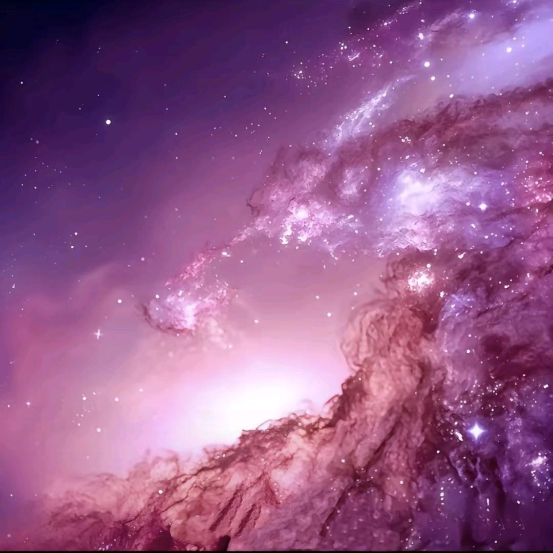 辛夷