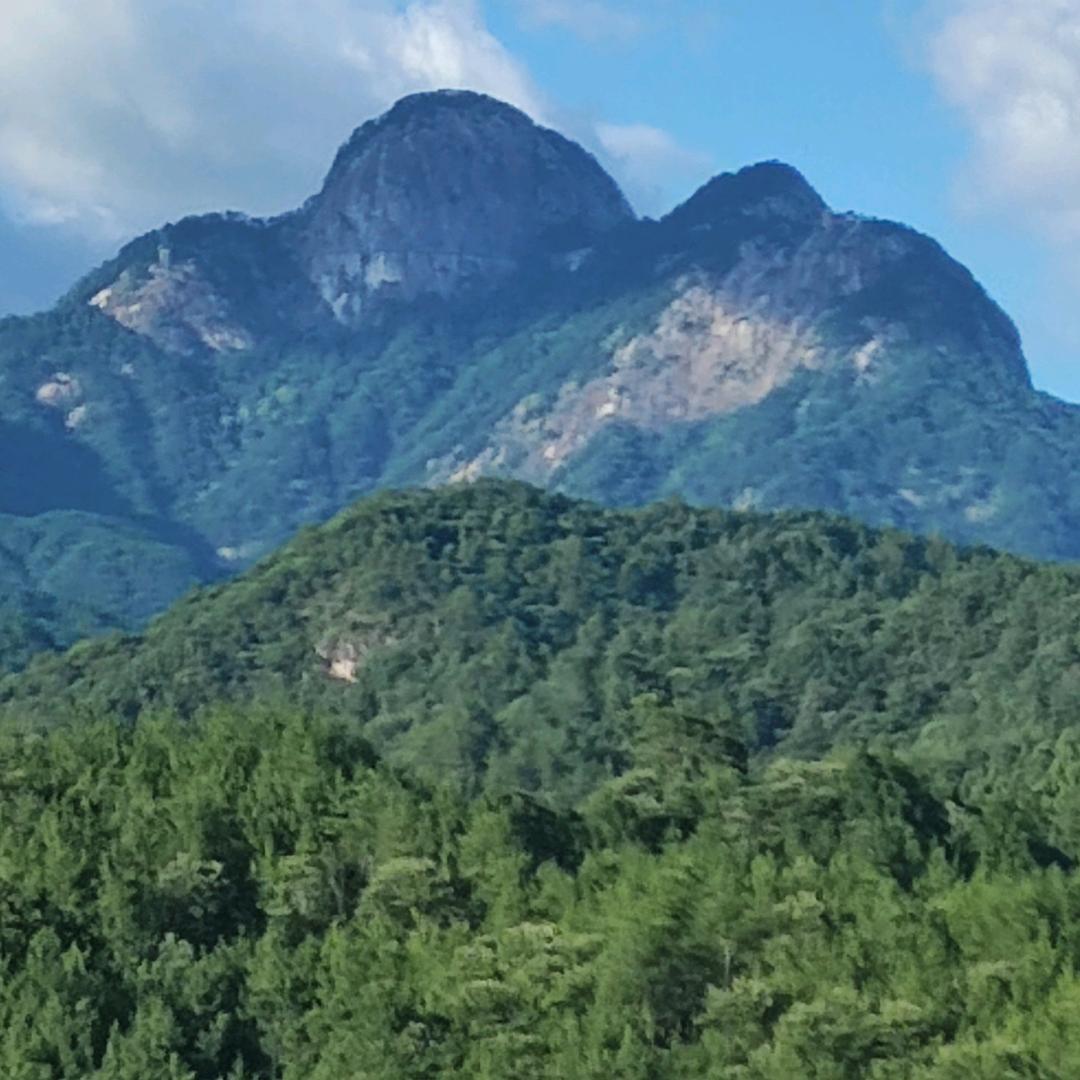 花香四溢
