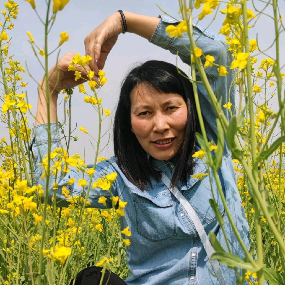 新安县卖房子月丽