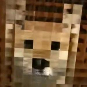 盖盖不会盖盖子