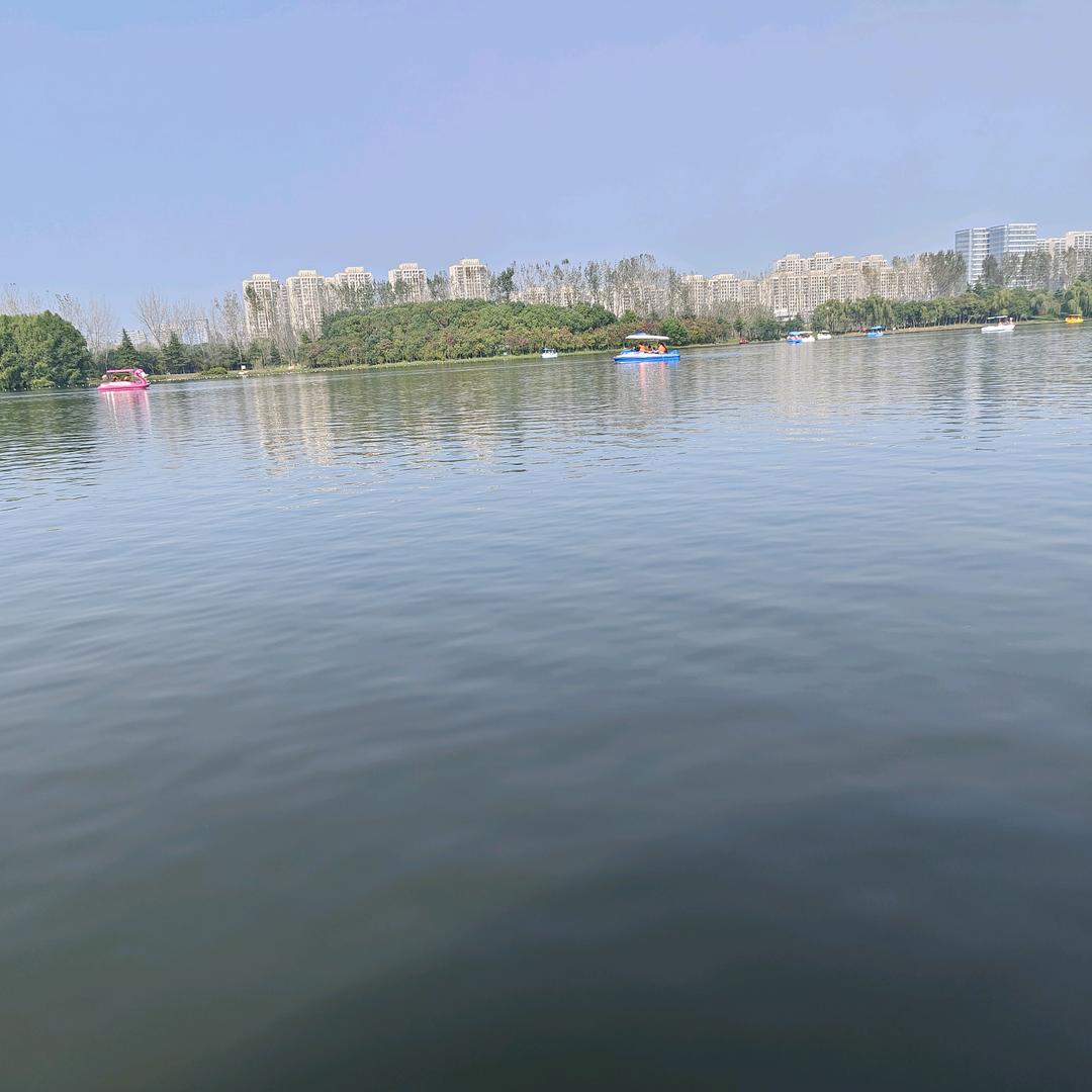浮云福运