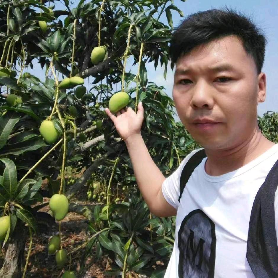 何氏果业，批发水果