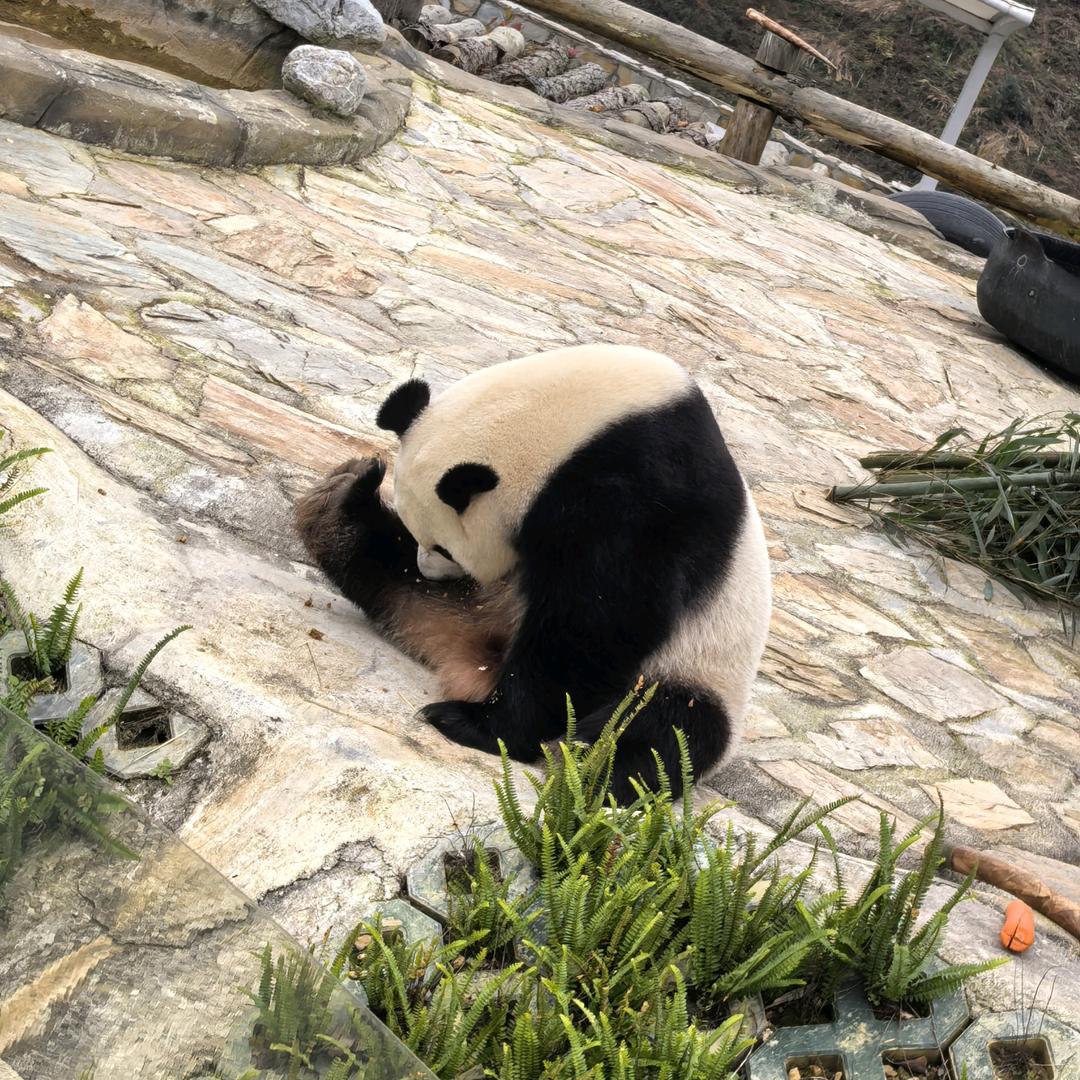 你的票房没有我