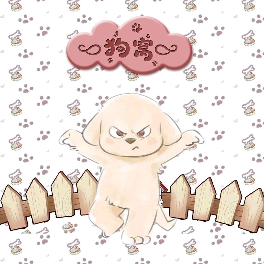 拉布拉多🌙