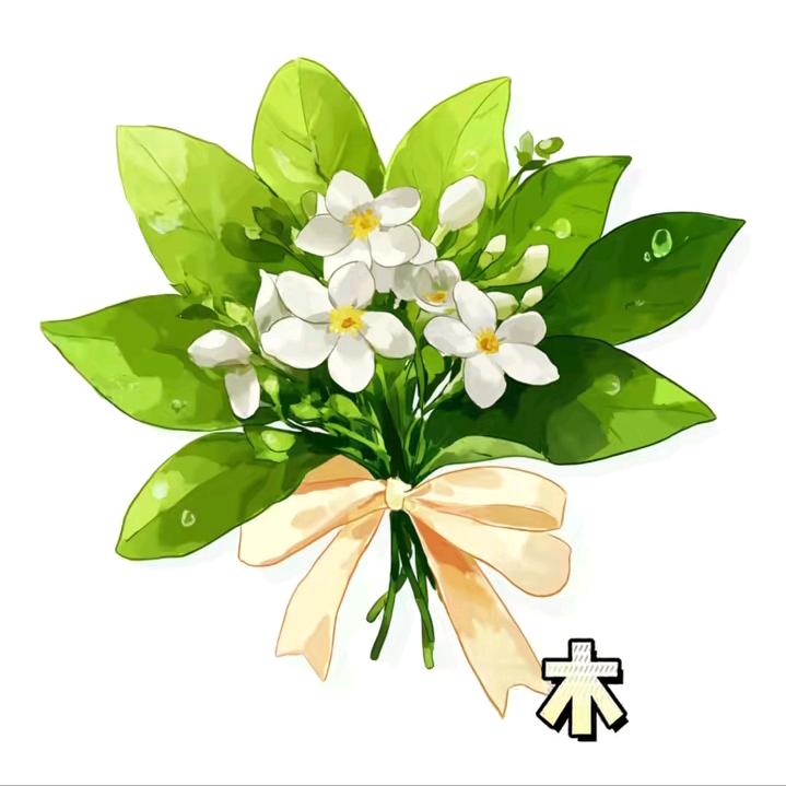 𝑰𝒔𝒐𝒍𝒂𝒕𝒆