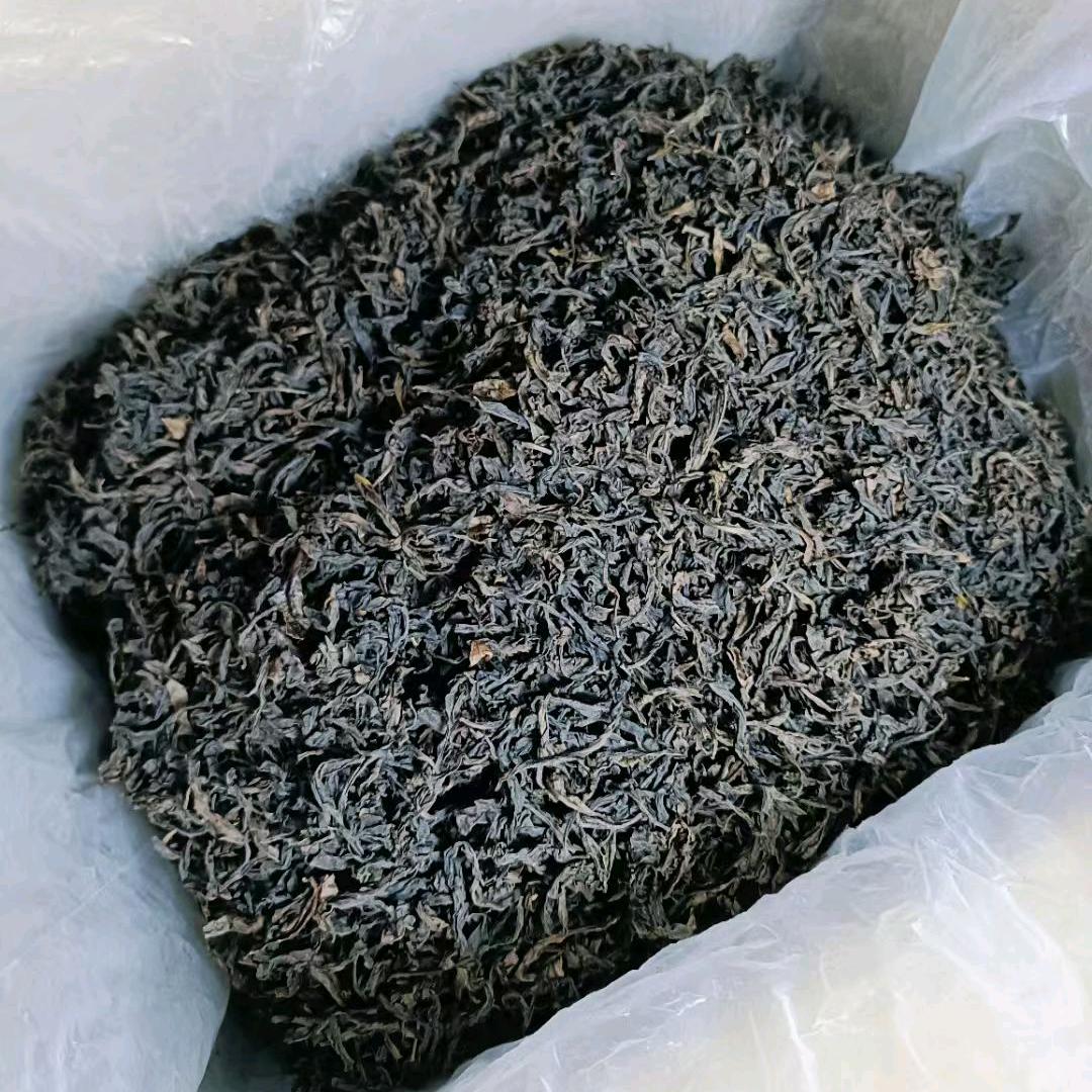 主理人的喝茶日记