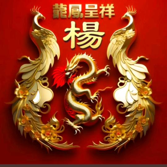 🌈杨媛媛《80年猴女》