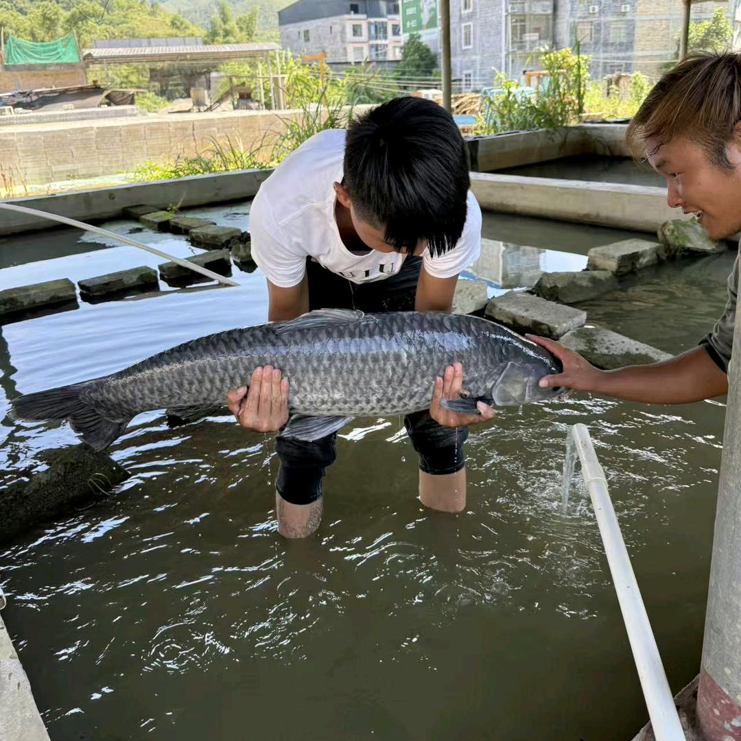 东莞市大理石材全屋定制厂