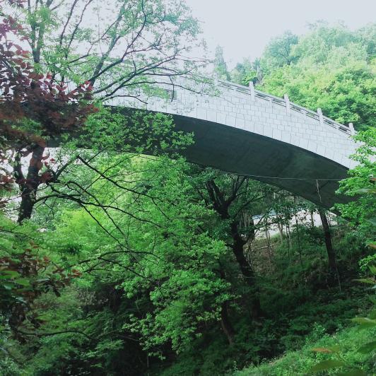 灿烂青春