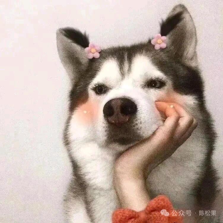 Aion小豆