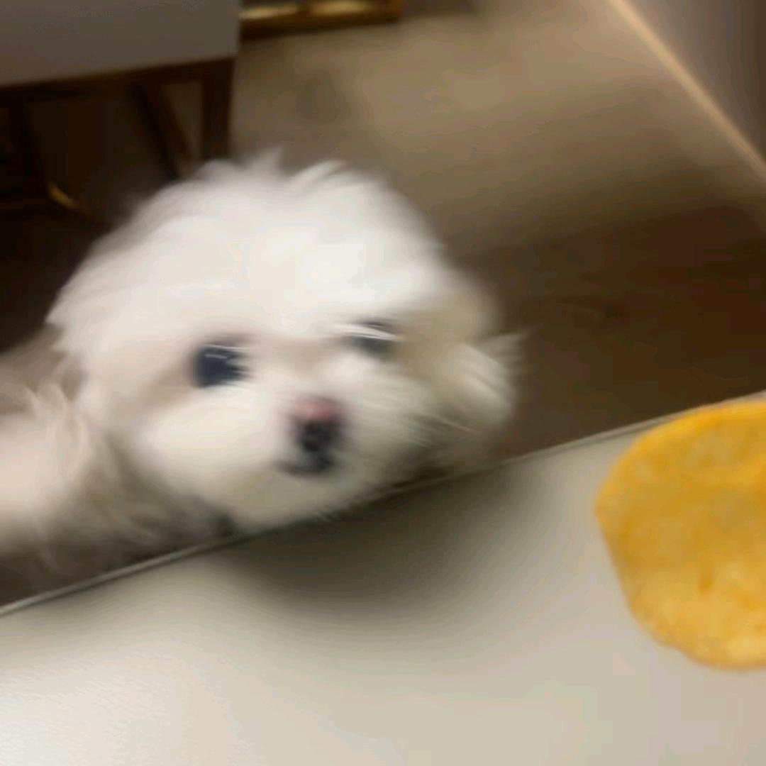 得梦为鱼