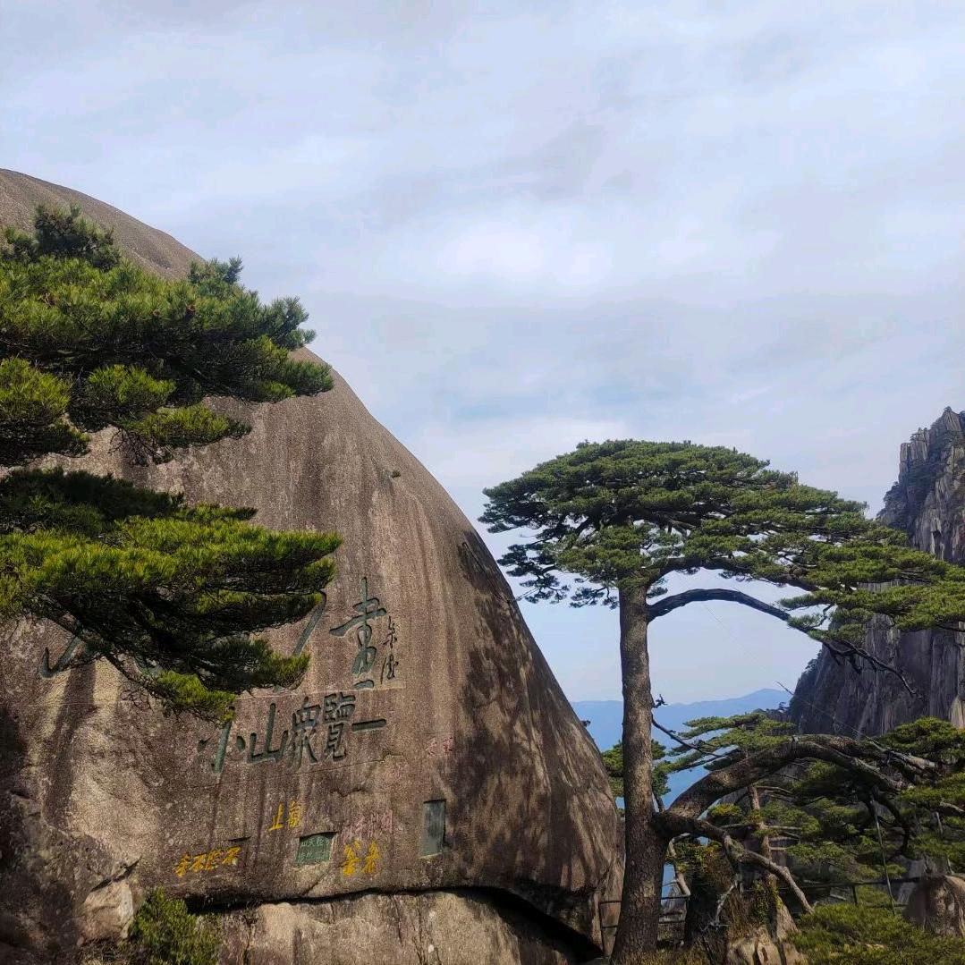 丽姨