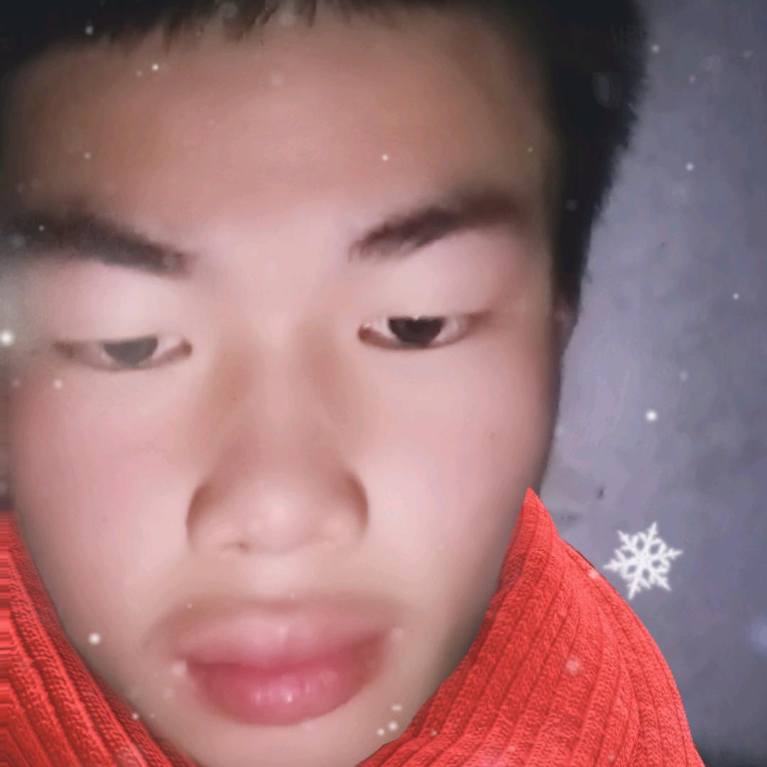 宋孝宝