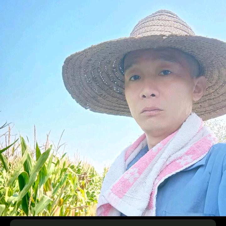 黄河有财