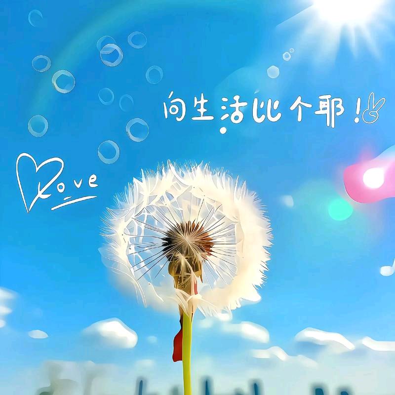 空 白