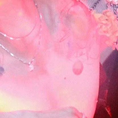 蚂蚁大王🐜🐜🐜🐜