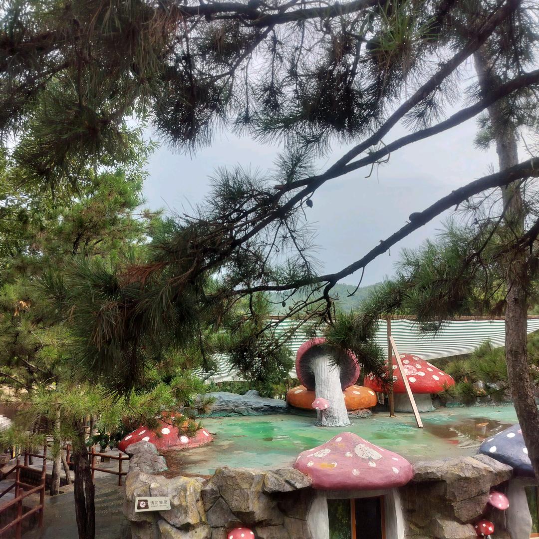 用户4292633553889美妙人生