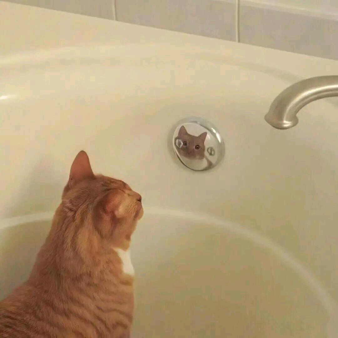 -.