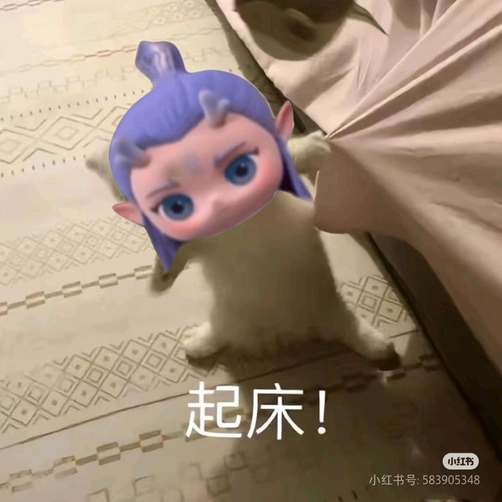 土豆饼！等7.6万人