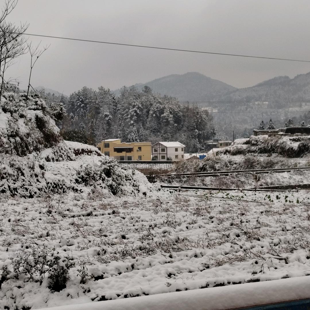 乌鸦喝水