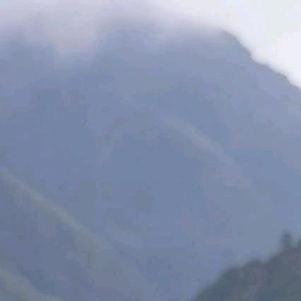已注消