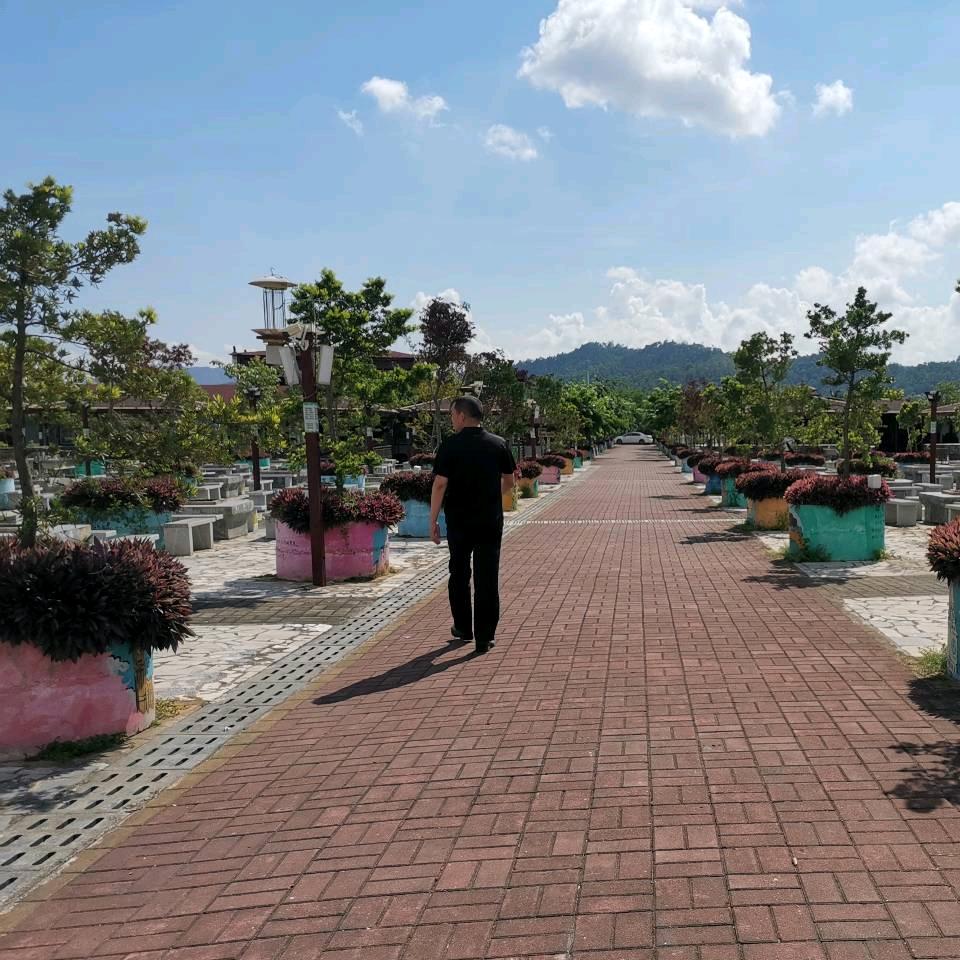 玉麒麟流程咨询