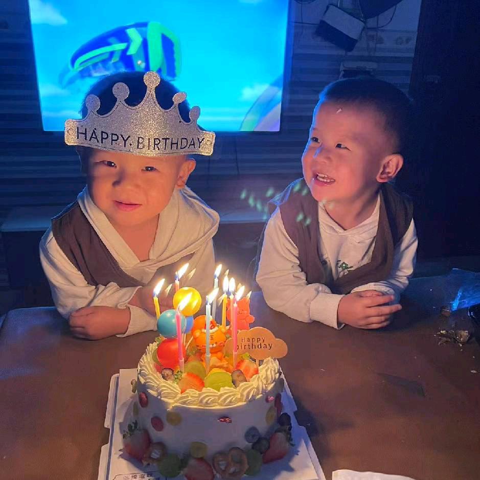 双胞胎兄弟汤圆饭团