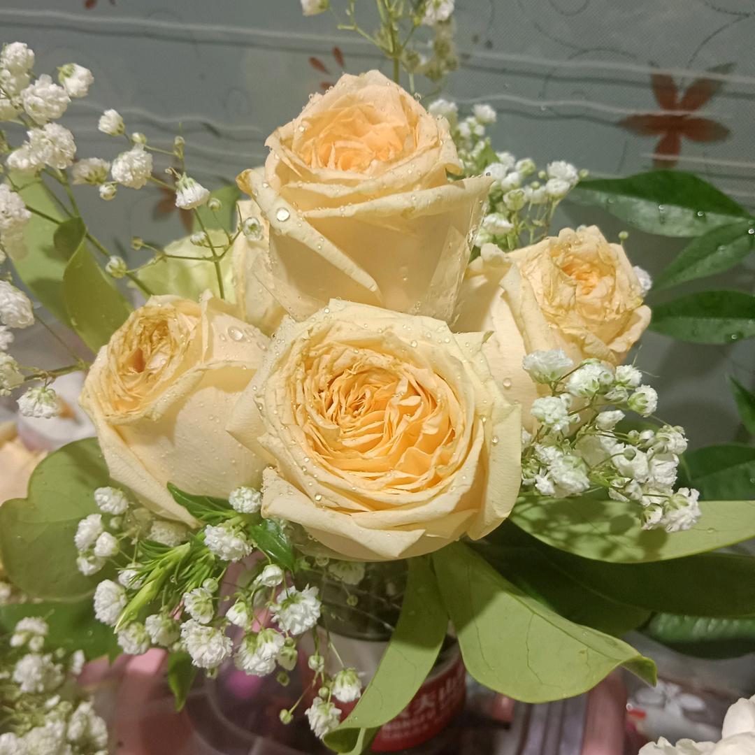 太阳花