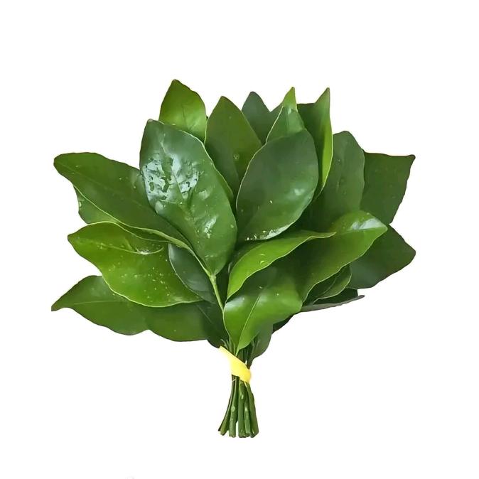 歌.