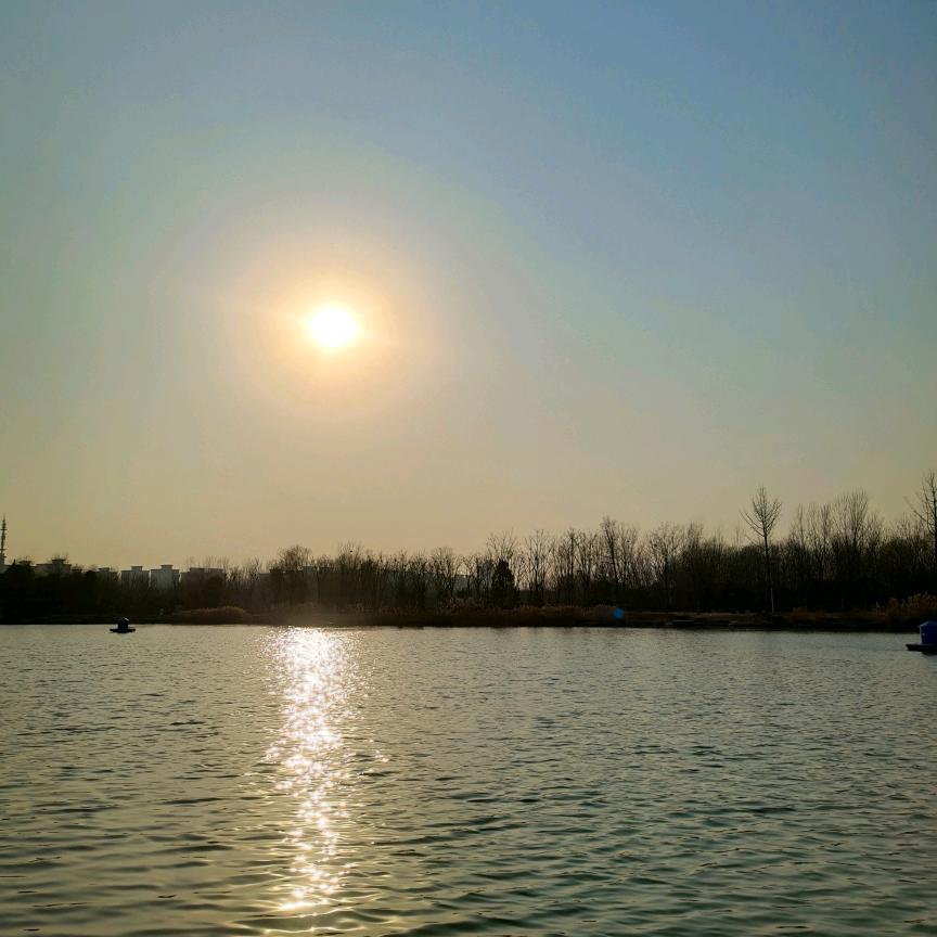 鲸鱼鲸鱼（谢谢，不互关）