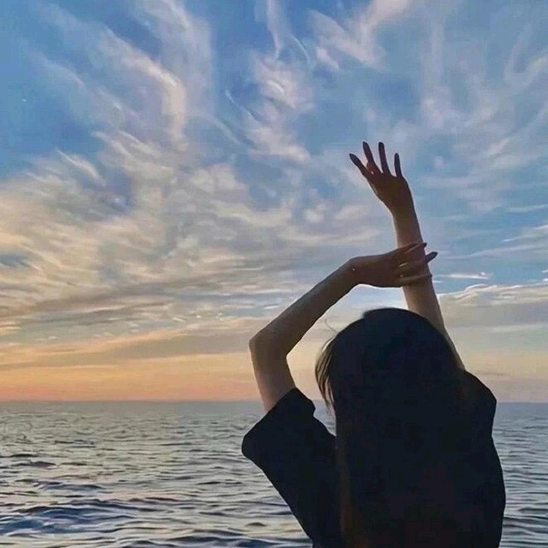 南星有板