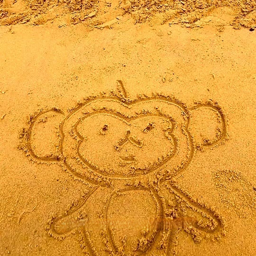小鱼 🐒 🪽