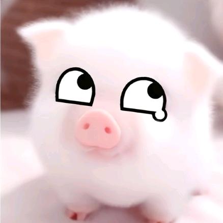 阳阳控