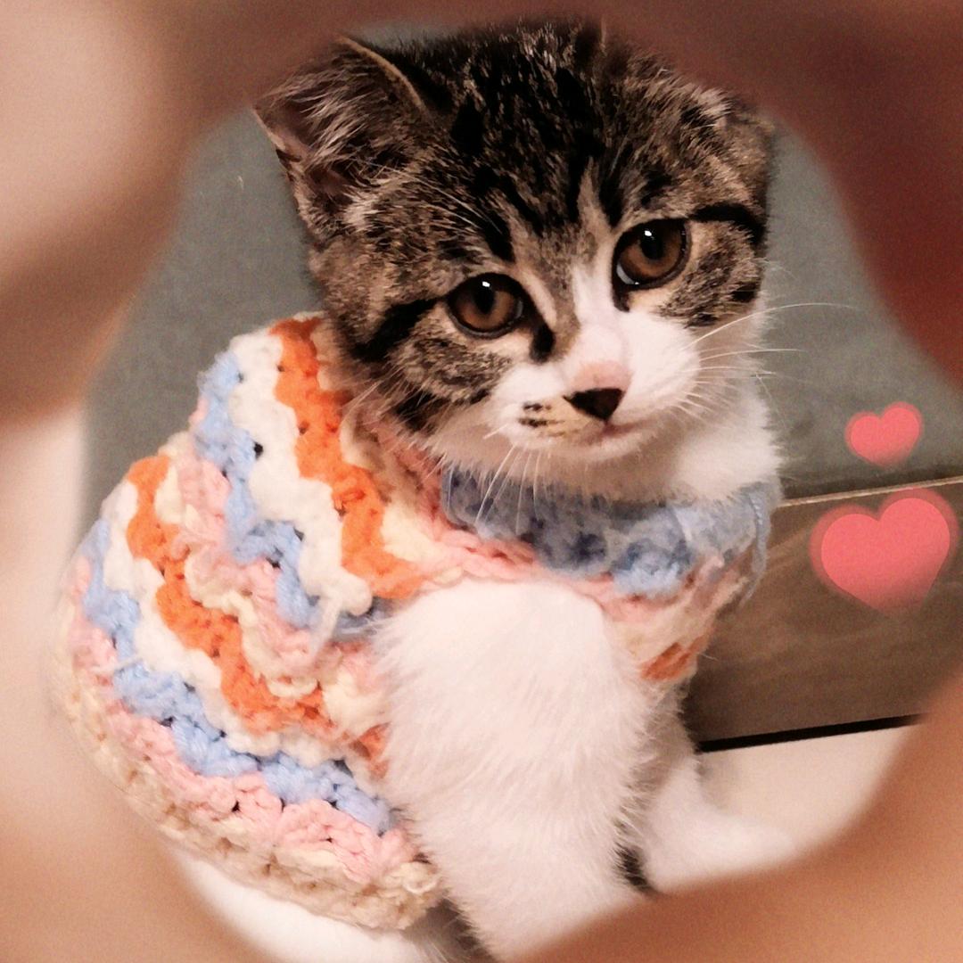 期待🧸