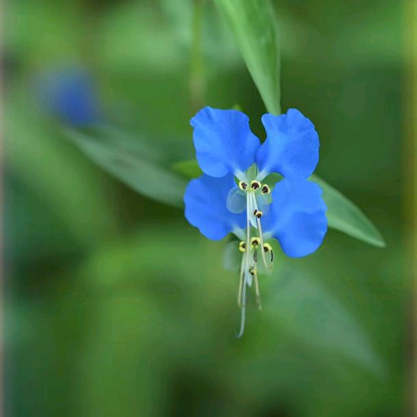谈谈人生静静都过