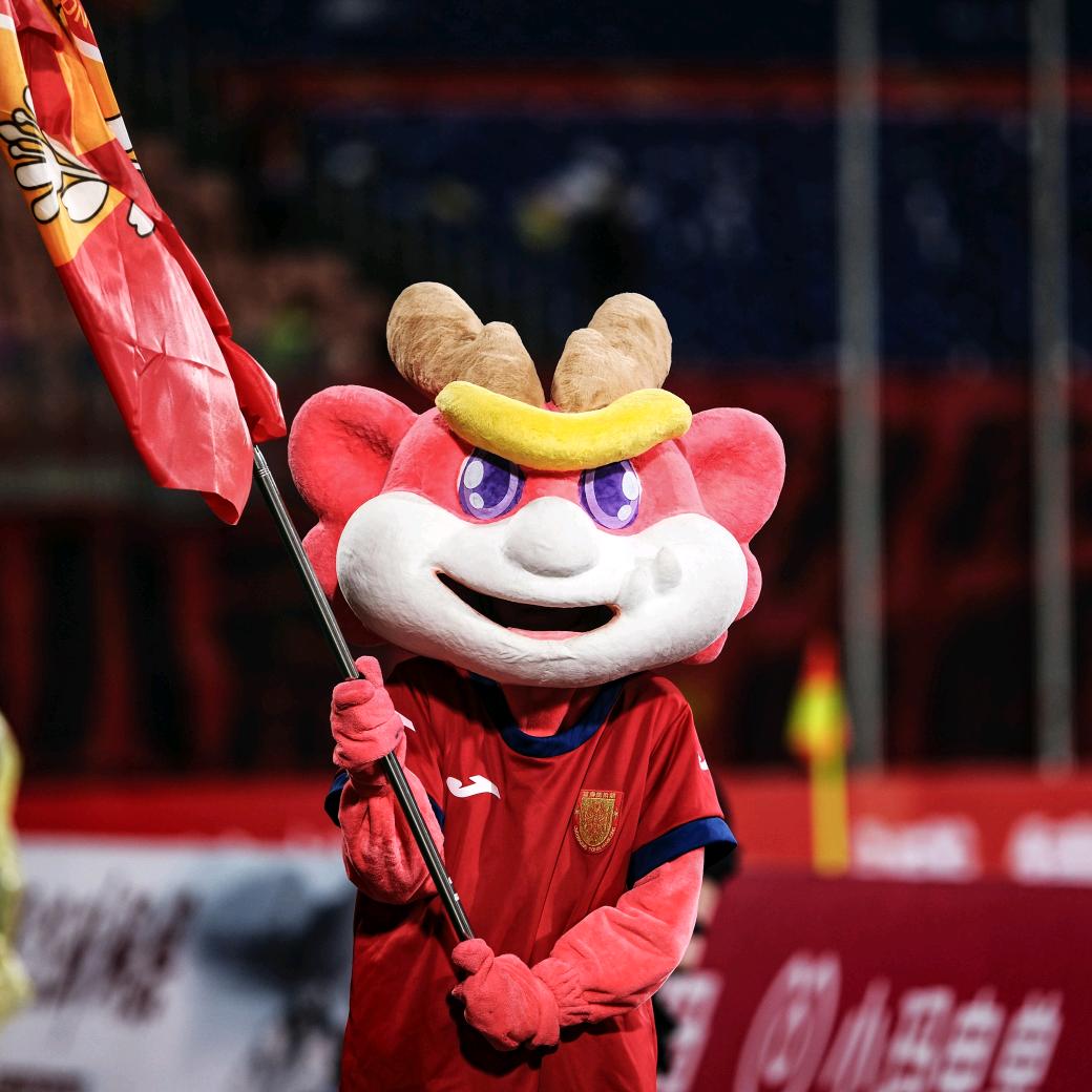 龙龙Loongboo