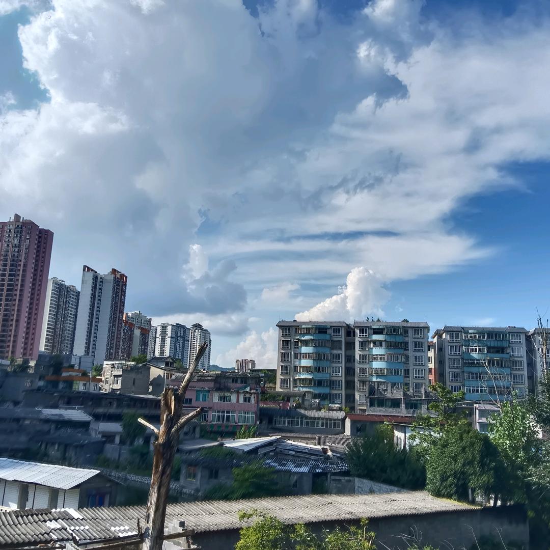 谢文东