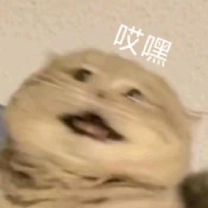 小刘小刘💪💯