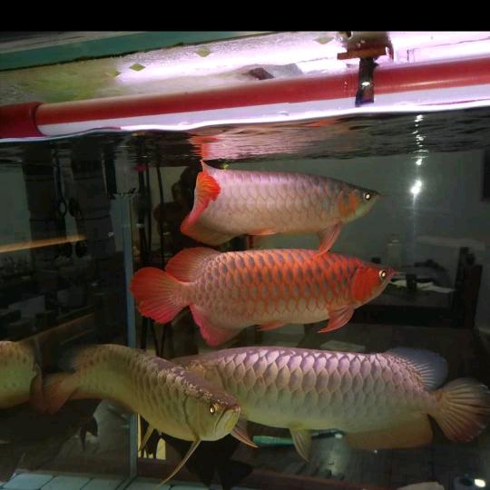 赵先生