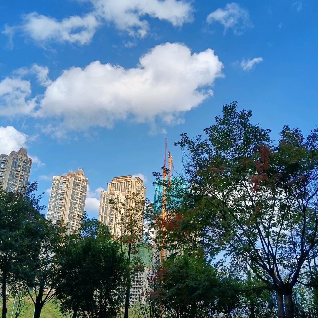 《活好自己》✔️