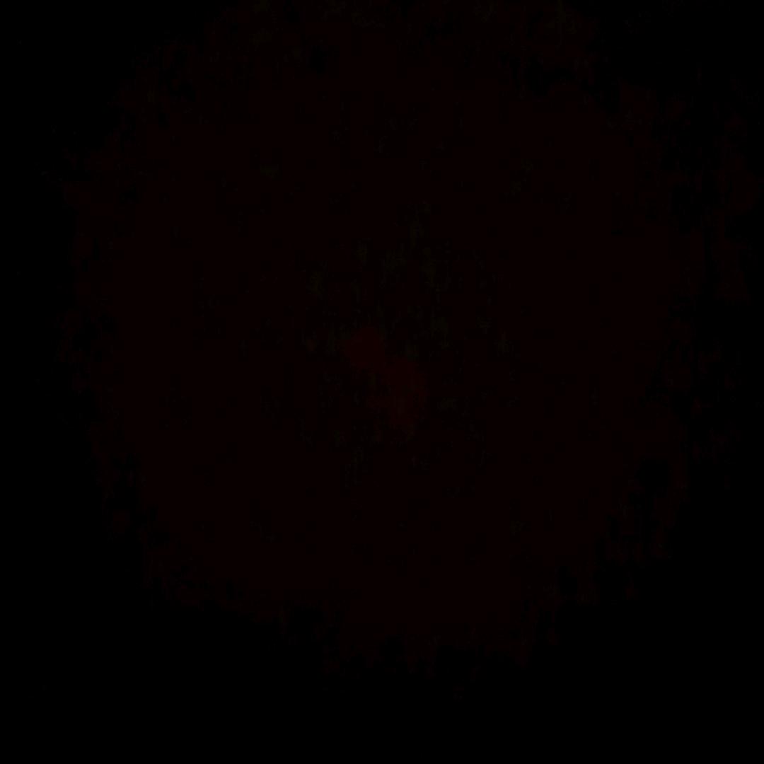 谢青青