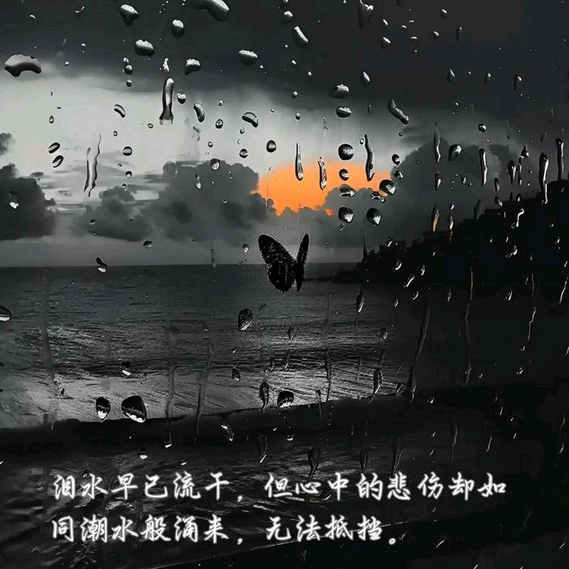 奋斗公子